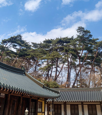 Magoksa Temple ‘SINABRO’ Healing Trip
