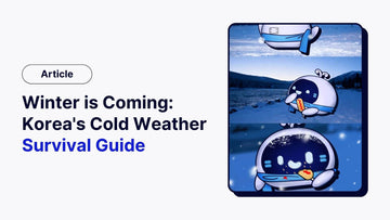 Winter is Coming: Korea's Cold Weather Survival Guide❄️