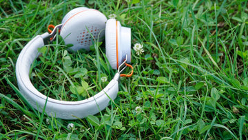 Nature Sound Healing in Korea: What the Science Says (and Where to Experience It)