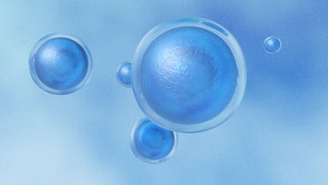 Stem Cell Therapy: What Actually Happens in Your Body?