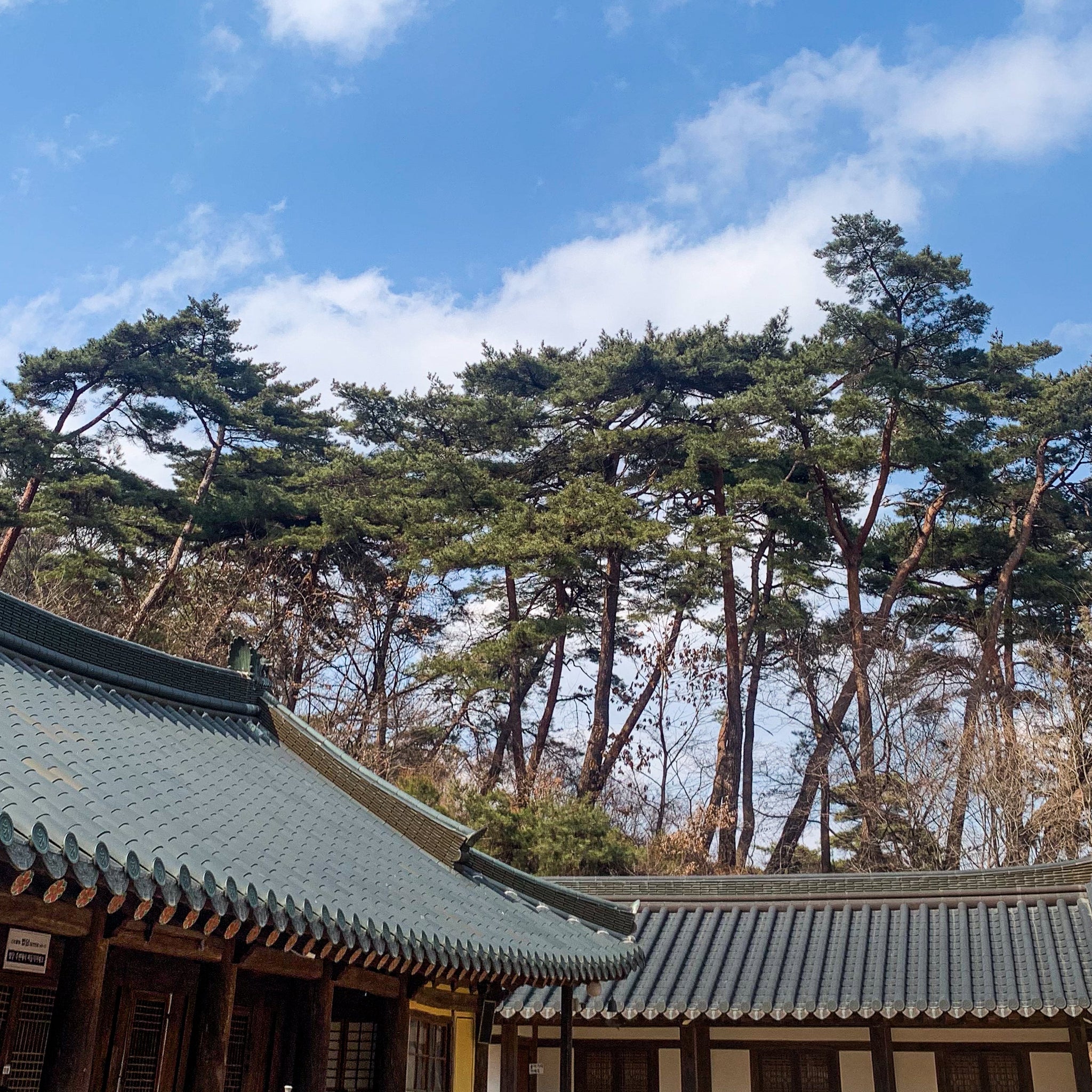 Magoksa Temple ‘SINABRO’ Healing Trip