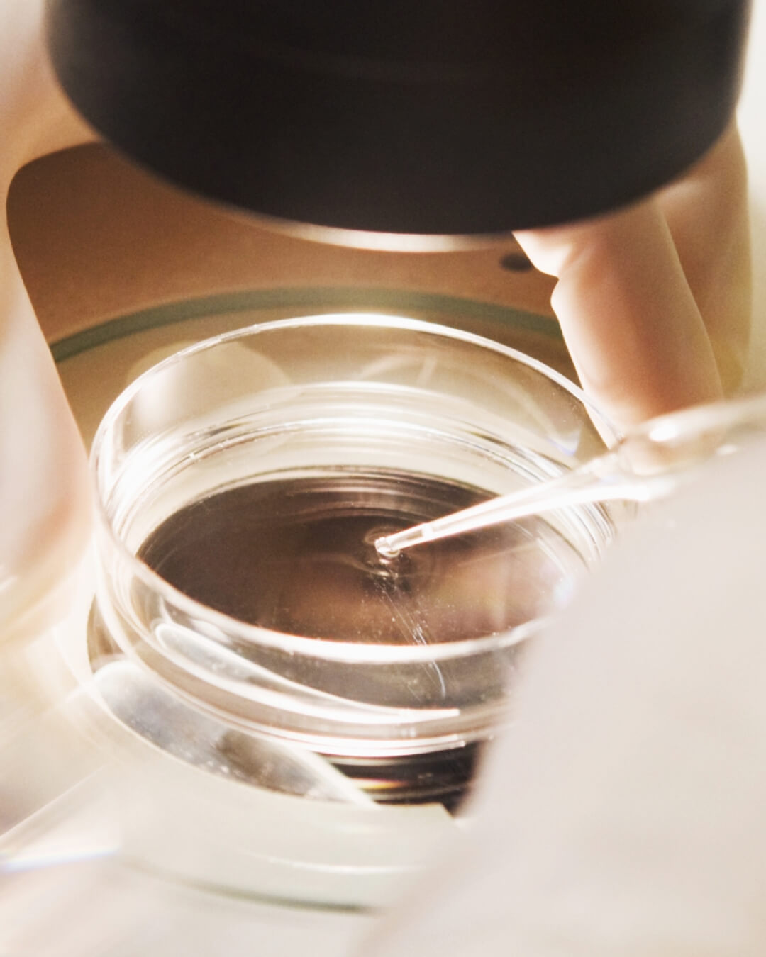 Chaum Life Center | From Hair Spa to Anti-Aging Clinics, All in One Place