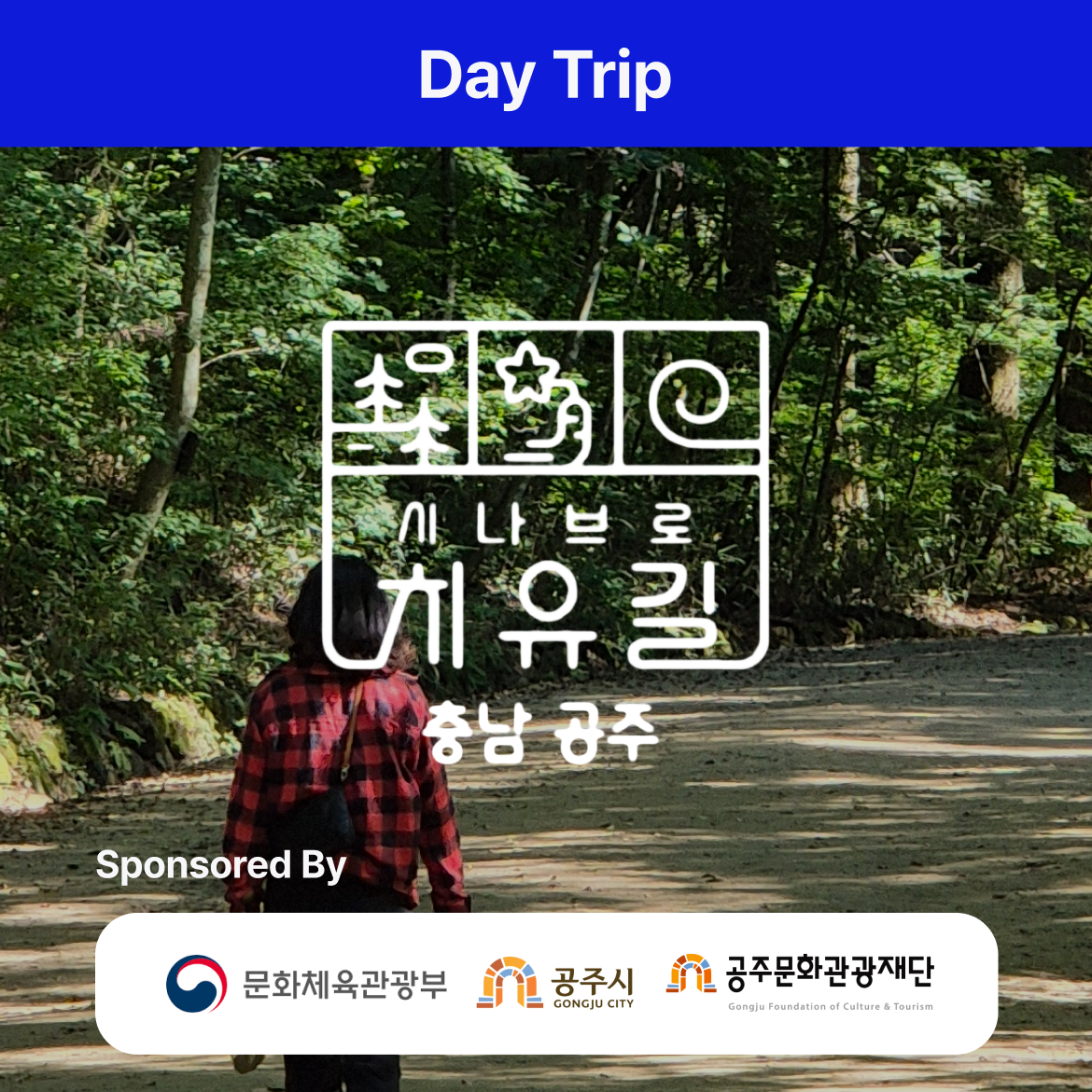 Magoksa Temple ‘SINABRO’ Healing Trip - Day Trip
