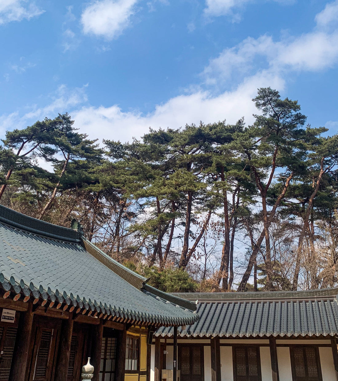 [Updated] Magoksa Temple ‘SINABRO’ Healing Trip - 2 Days & 1 Night