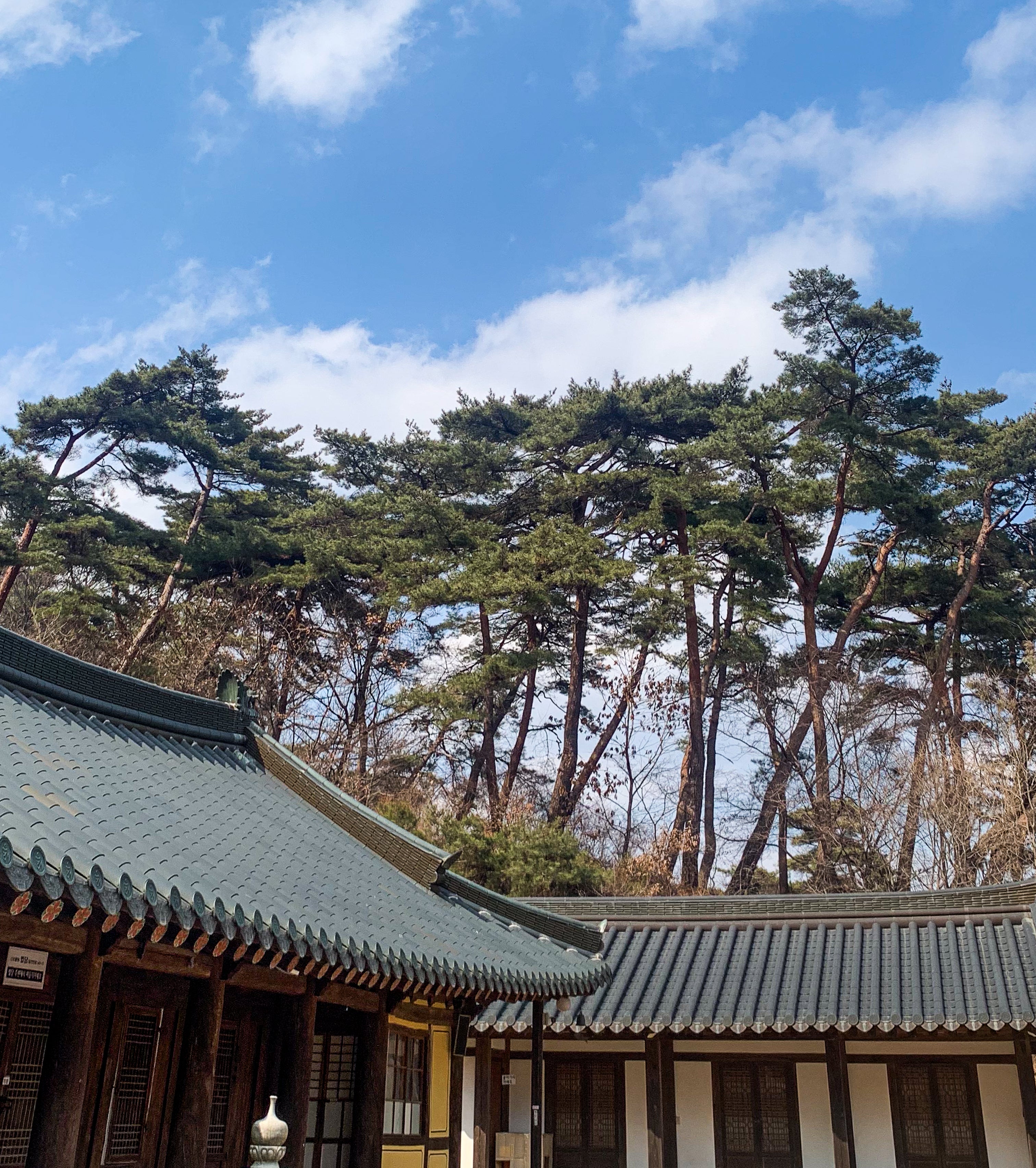 Magoksa Temple ‘SINABRO’ Healing Trip - Day Trip