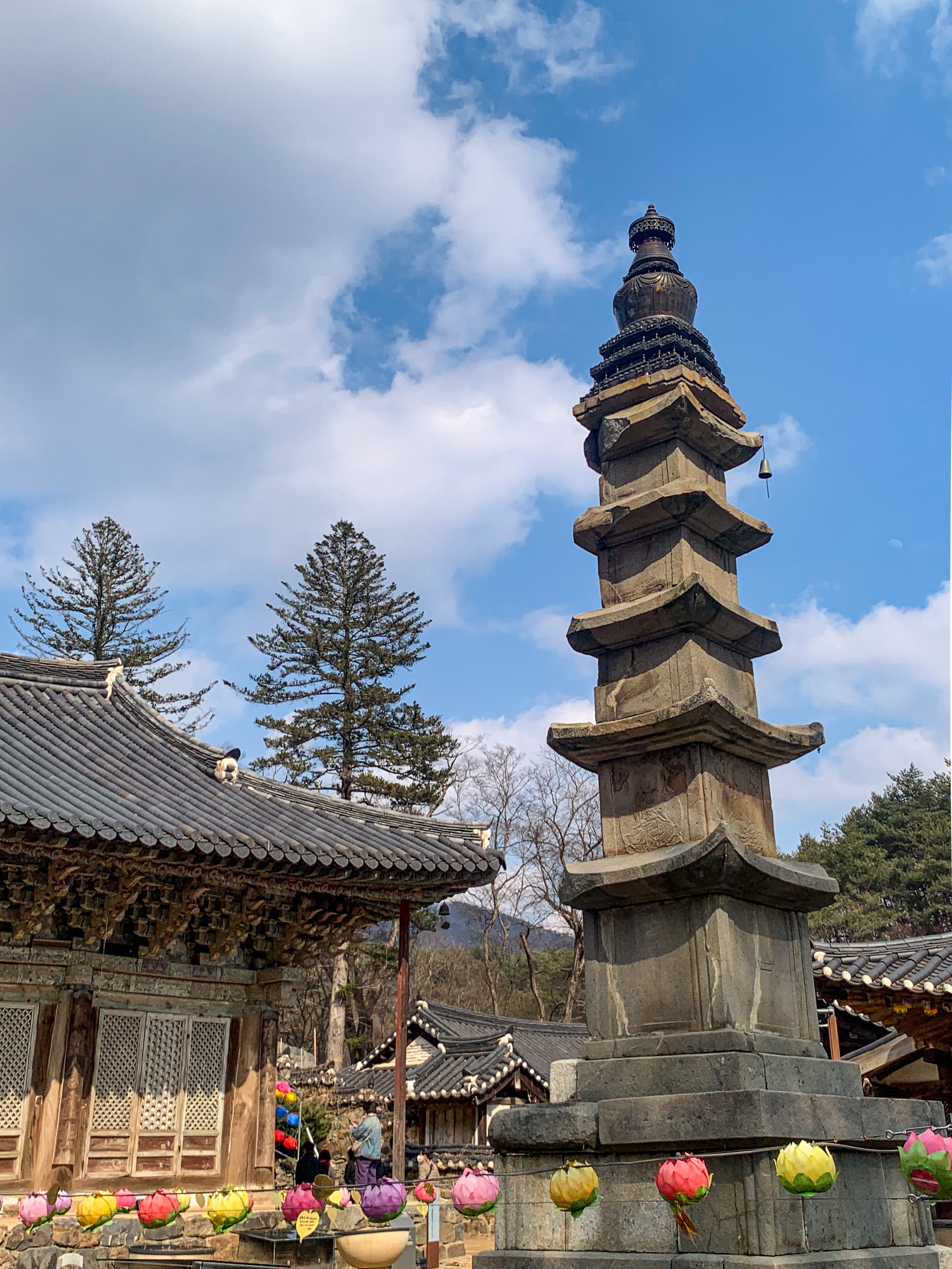 Magoksa Temple ‘SINABRO’ Healing Trip - Day Trip
