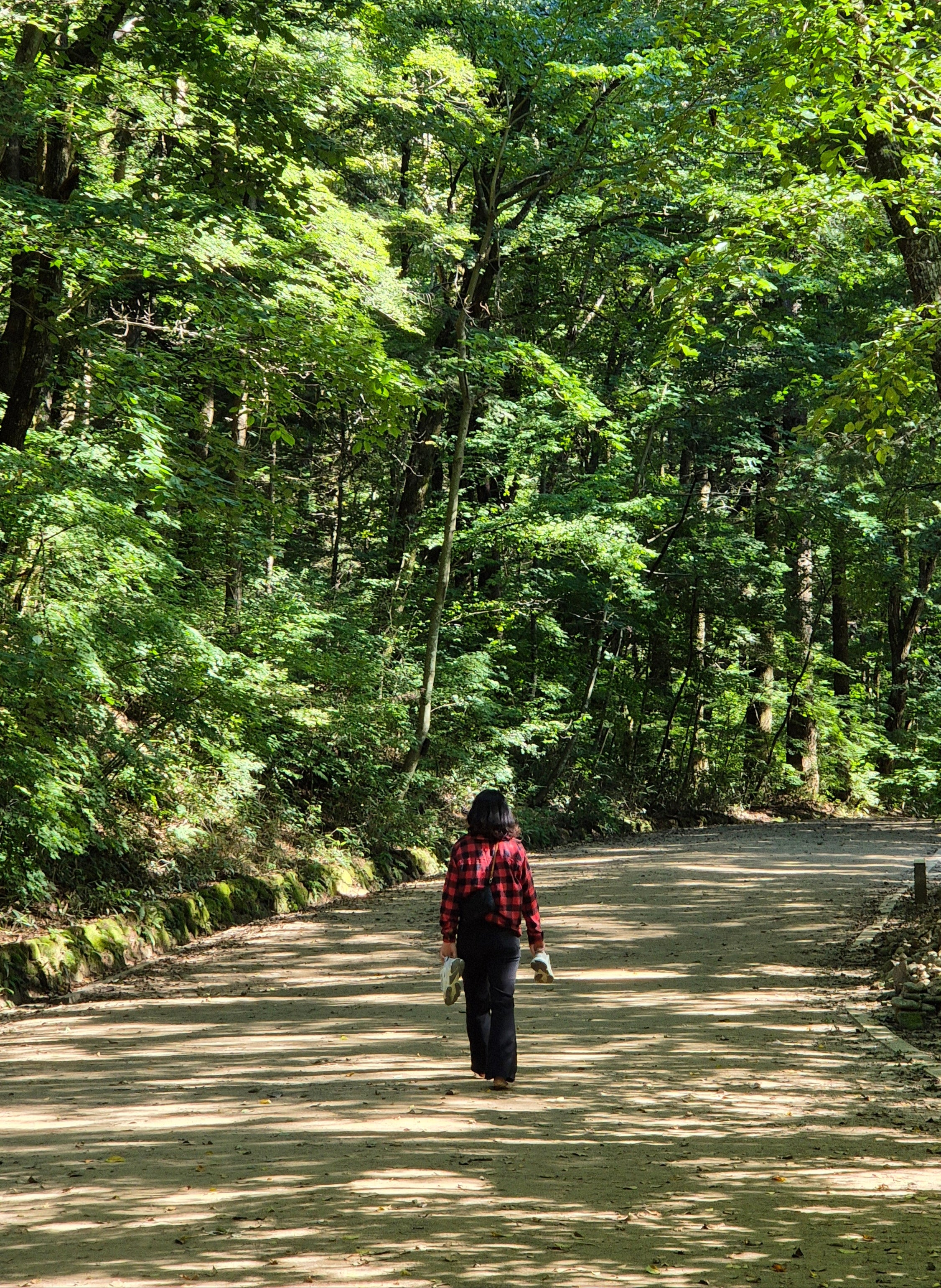 Magoksa Temple ‘SINABRO’ Healing Trip - Day Trip