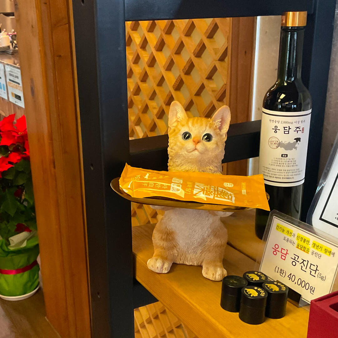 Клиника корейской медицины Намхансансон | Исцеление на территории объекта Всемирного наследия ЮНЕСКО