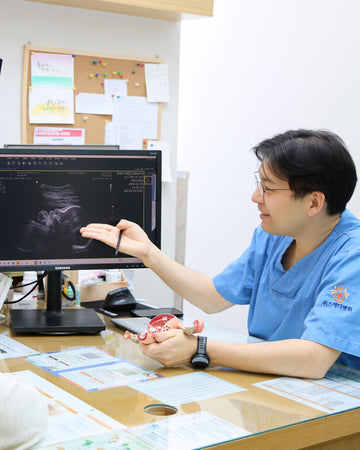 Shesmedi Hospital | From Screening to Childbirth, Women’s Care Since 1990
