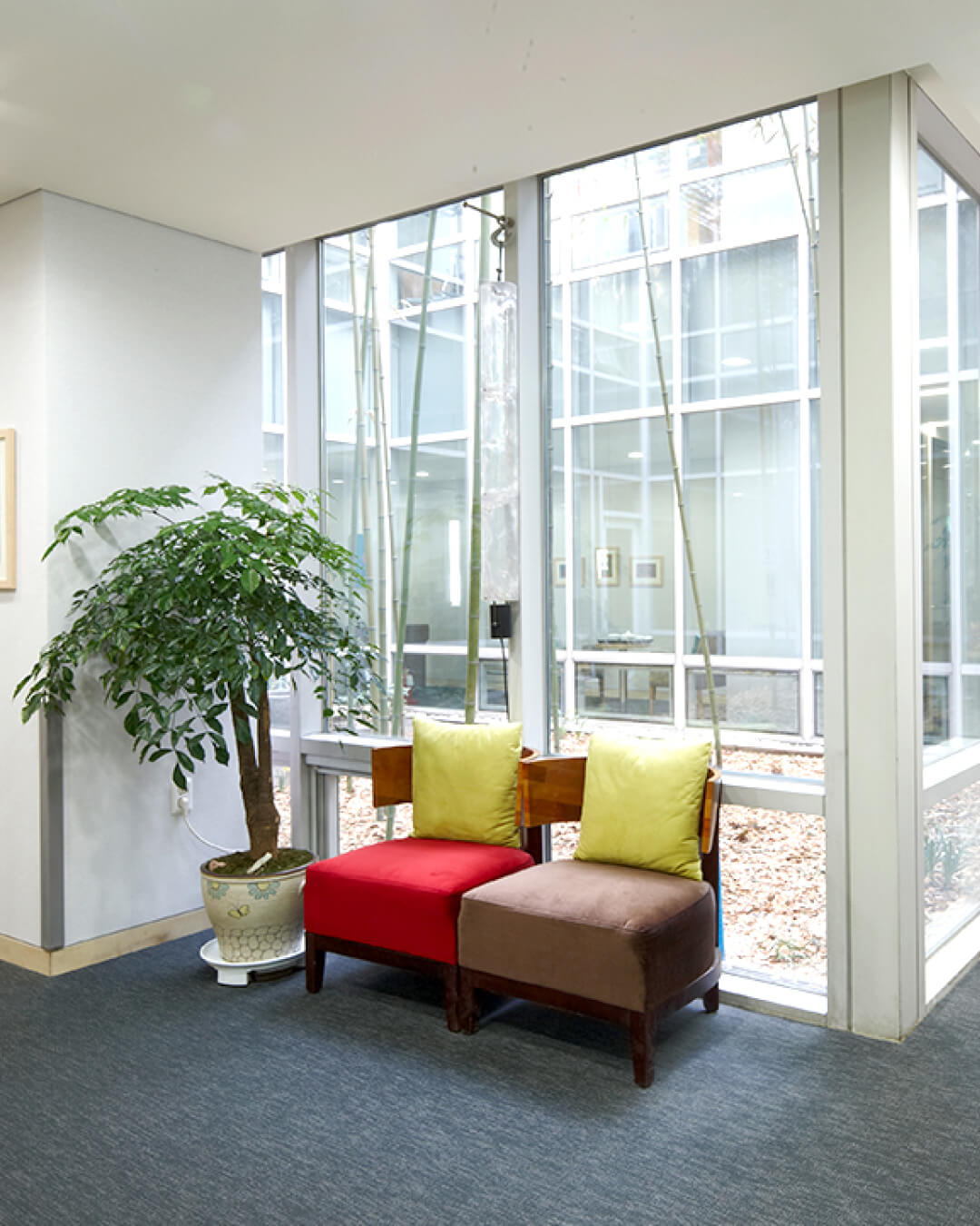 Shesmedi Hospital | From Screening to Childbirth, Women’s Care Since 1990