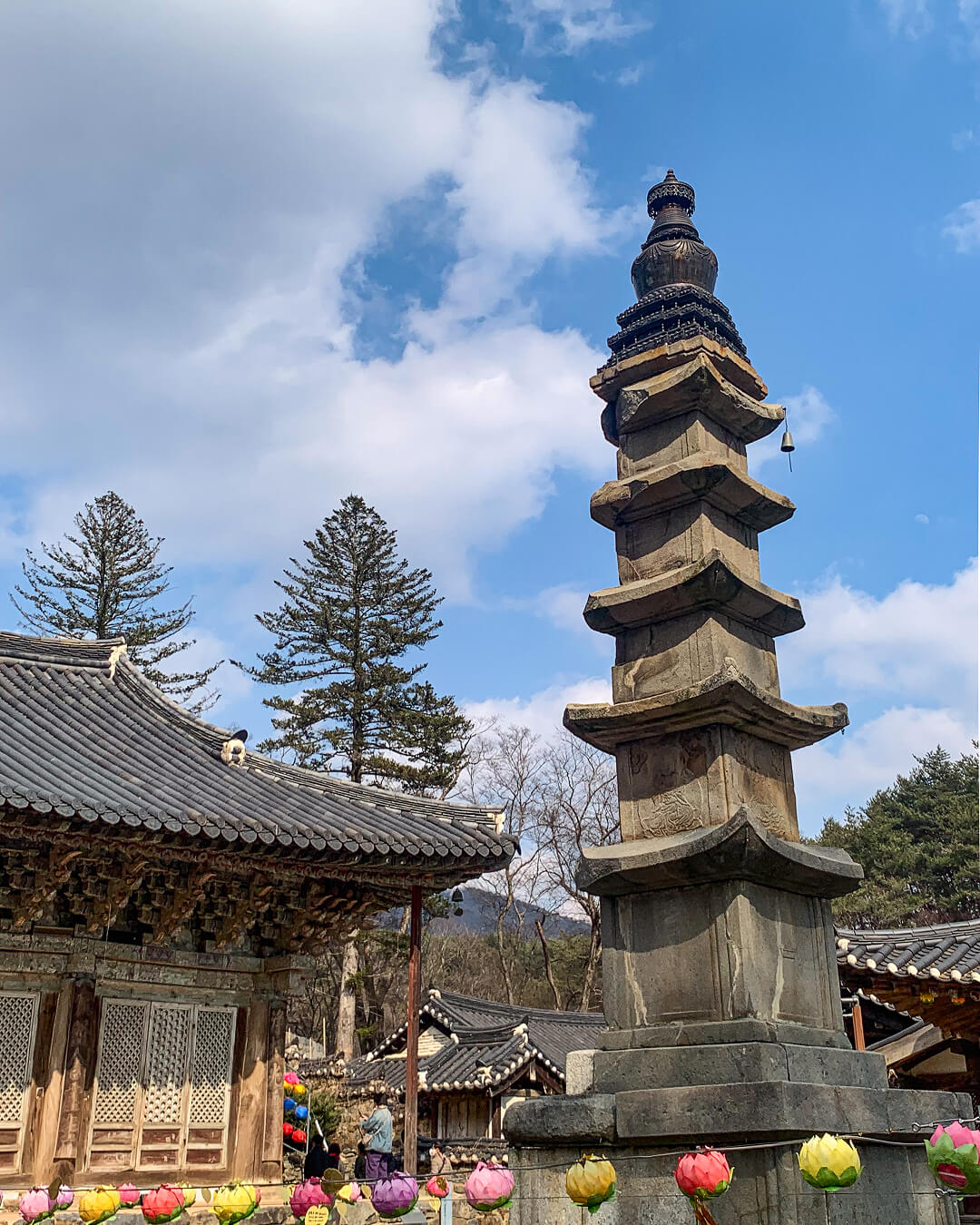 Whispers of the Temple – Join a Day at Magoksa