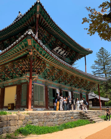 Whispers of the Temple – Join a Day at Magoksa